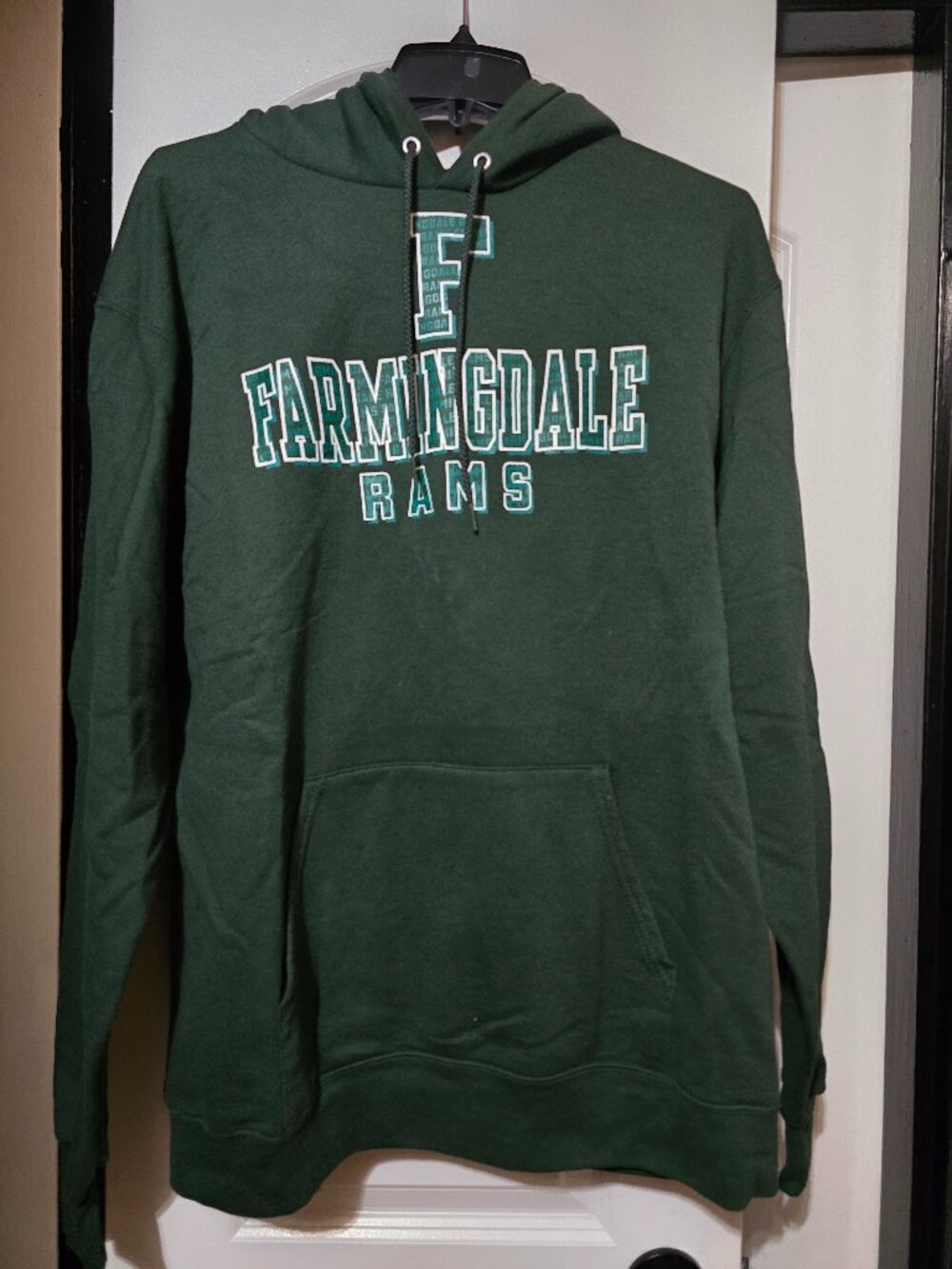 Champion Men's Dark Green Hoodie W Farmingdale Rams Printed - Size Large